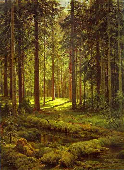 Oil painting:Coniferous Forest. Sunny Day. 1895