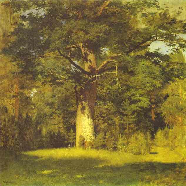 Oil painting:Oak. 1880