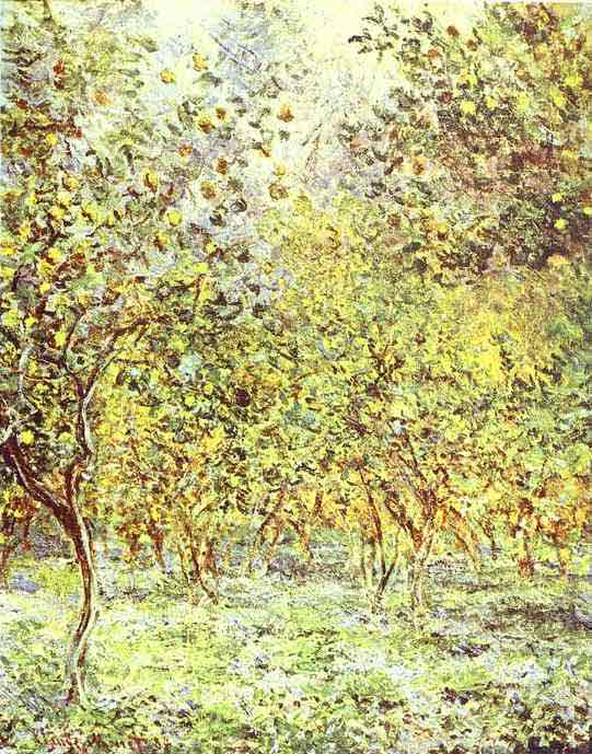 Lemon-Trees. Bordighera 1884.