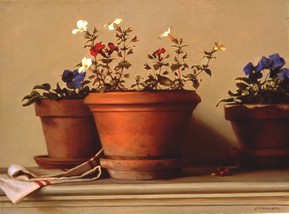 Potted Flowers