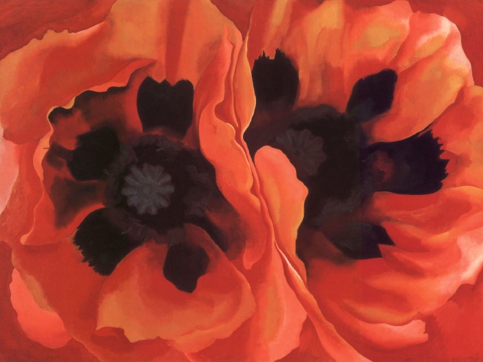 Oriental Poppies 1928