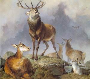 Scene in Braemar Highland Deer 1857