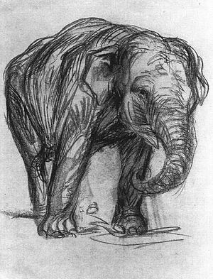 Elephant (Elefant) 1907