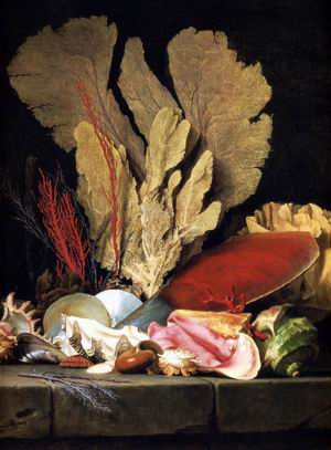 Still-Life with Tuft of Marine Plants, Shells and Corals 1769