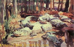 Muddy Alligators 1917