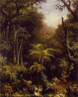 Brazilian Forest 1864