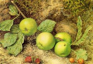 Still Life with Fruit and Fly 1873