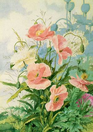 Poppies 1889