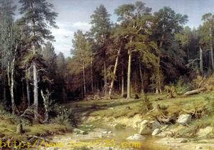 Pine forest. A mast forest in Vjatsky province 1872
