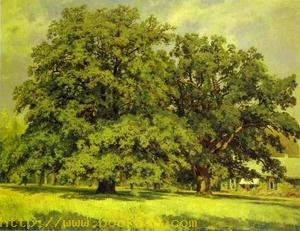 The Mordvinovo Oaks 1891