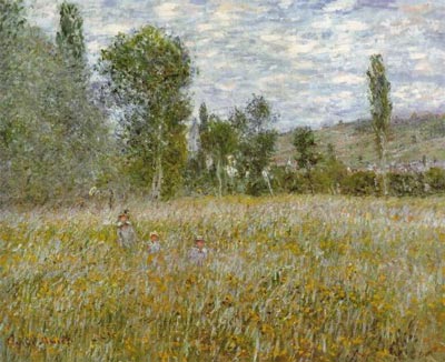 A Meadow