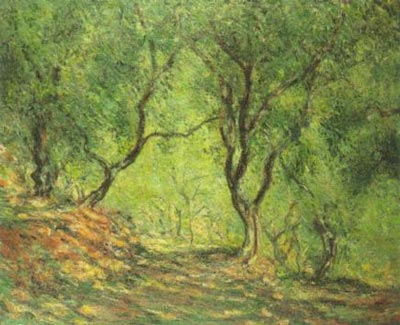 Olive Grove in the Moreno Garden