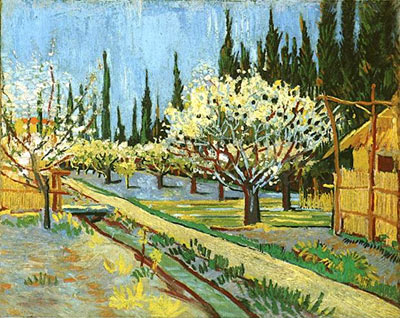 Orchard in Blossom, Bordered by Cypresses