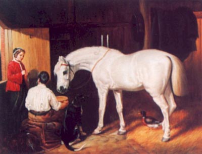 Conversation in the Stable