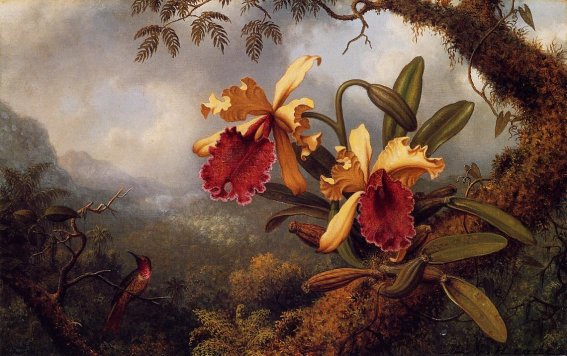 Martin Johnson Heade - Orchids and Hummingbird 3