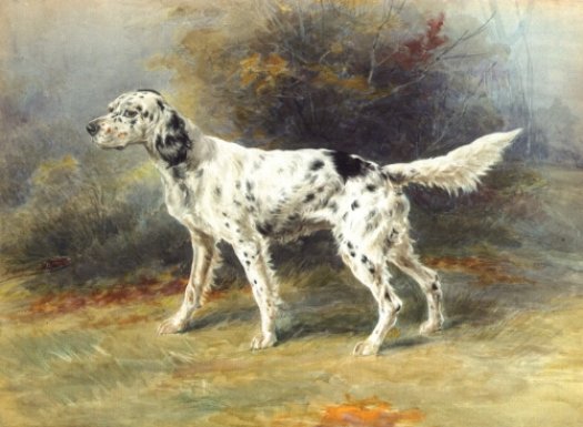 Edmund Henry Osthaus - An English Setter in A Landscape