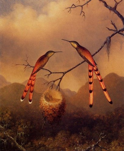 Martin Johnson Heade - Two Hummingbirds with Their Young