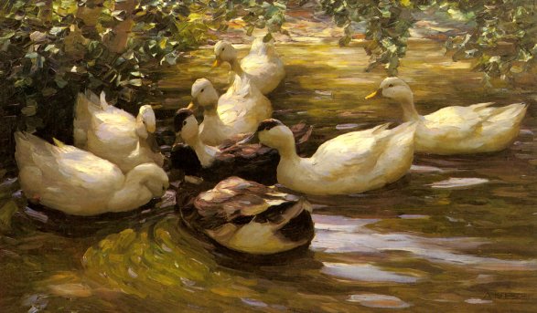 Alexander Koester - Enten in Wasser Unter Birken