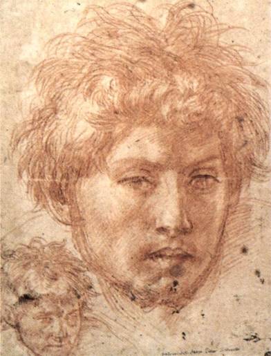 Andrea del Sarto - Head of a Young Man