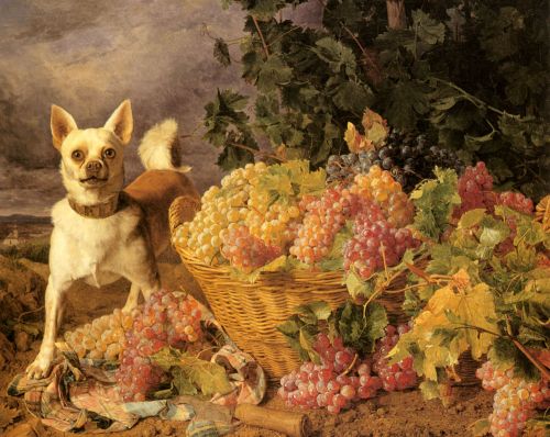 A Dog By A Basket Of Grapes In A Landscape