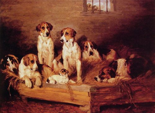 Foxhounds and Terriers in a Kennel