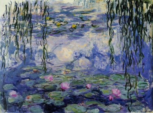 Water-Lilies 38