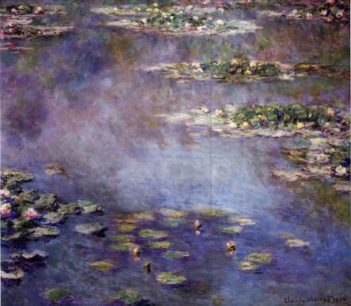 Water-Lilies 24