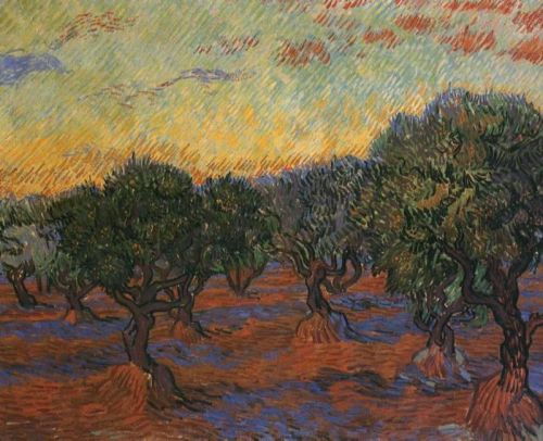 Olive Grove - Orange Sky