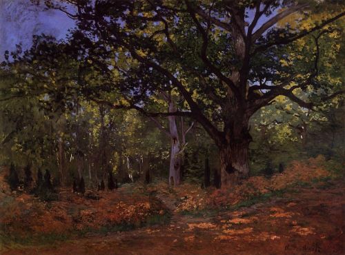 The Bodmer Oak, Fontainebleau