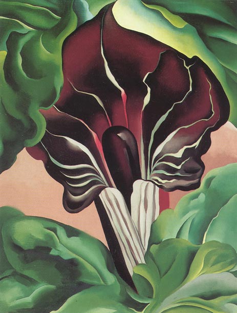 Jack in the Pulpit II, 1930