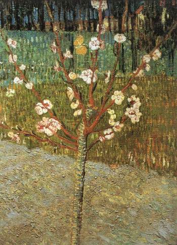 Almond Tree in Blossom ,Arles: April, 1888