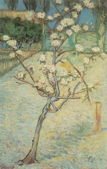 Blossoming Pear Tree, Arles: April, 1888