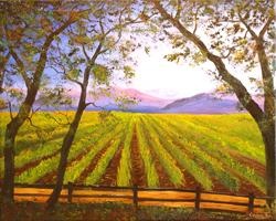 California Napa Valley Vineyard A Painting a Day California Landscapes by Connie Tom