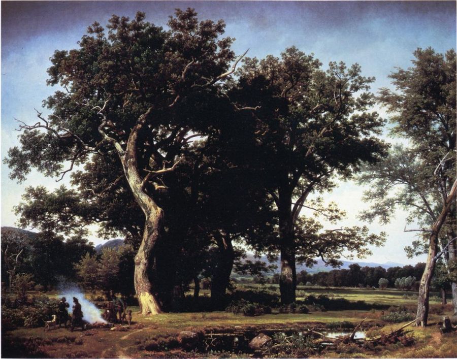 Landscape near Minden