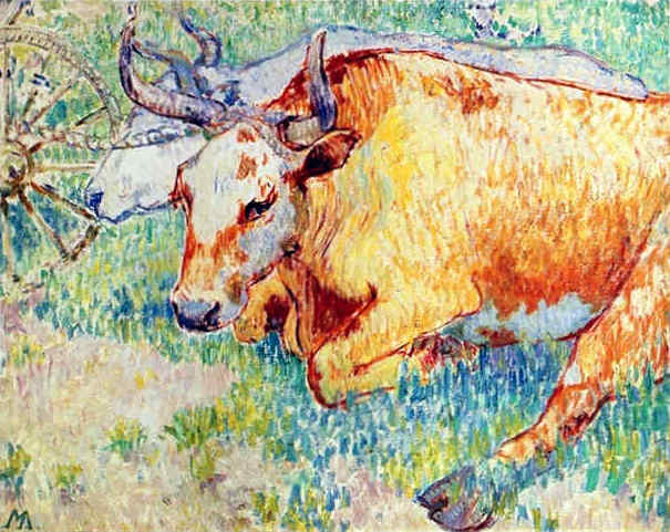 Oxen At Rest