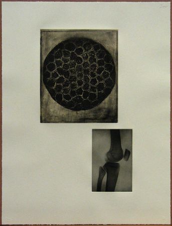 Fourteen Etchings 13