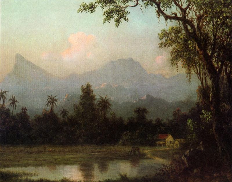 Rio de Janeiro, South American Scene with Cabin