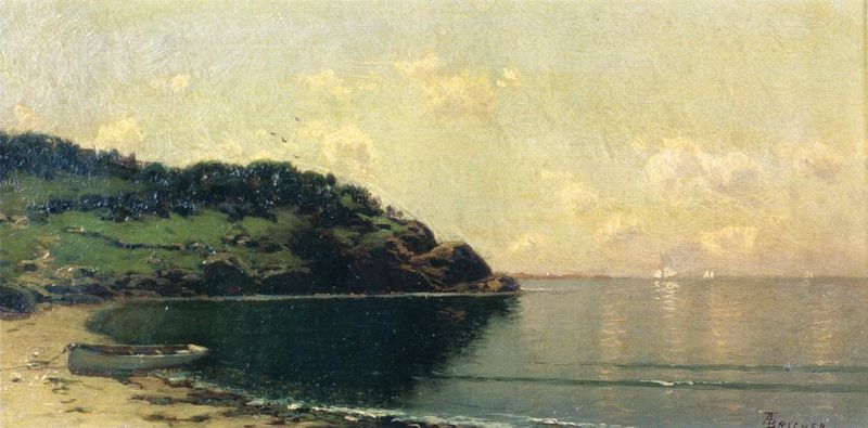 Coast Landscape