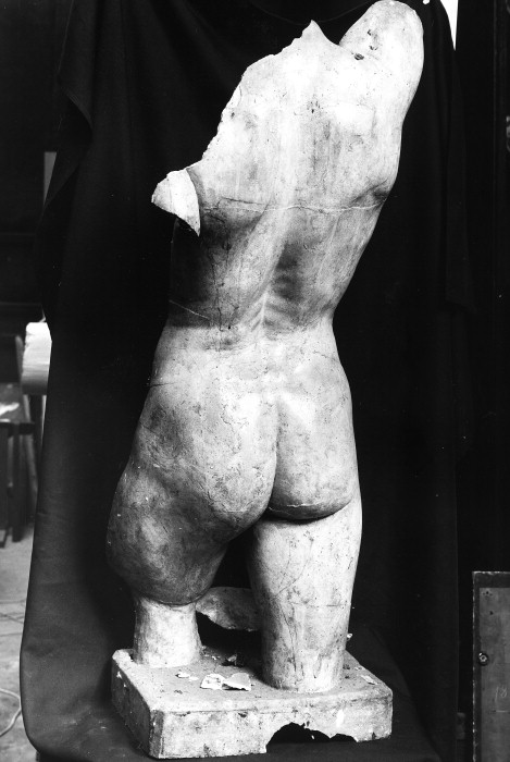 Female Torso