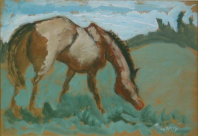 Horse In Pasture