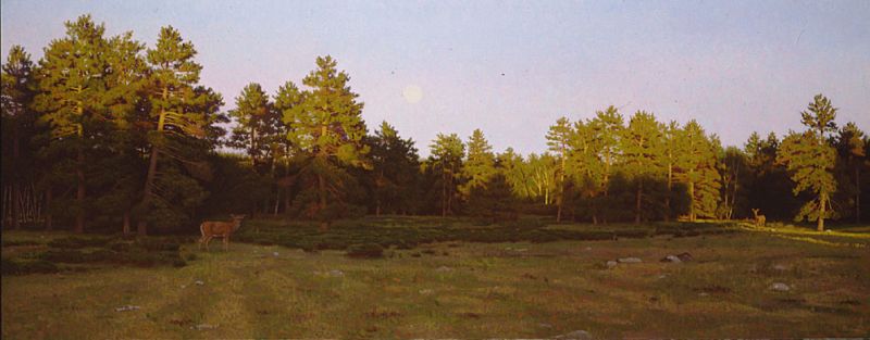 Moonrise over the Meadow