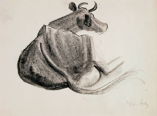 Resting Cow