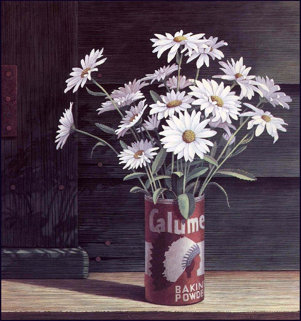 White Daisies