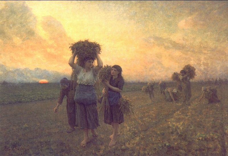 The Last Gleanings