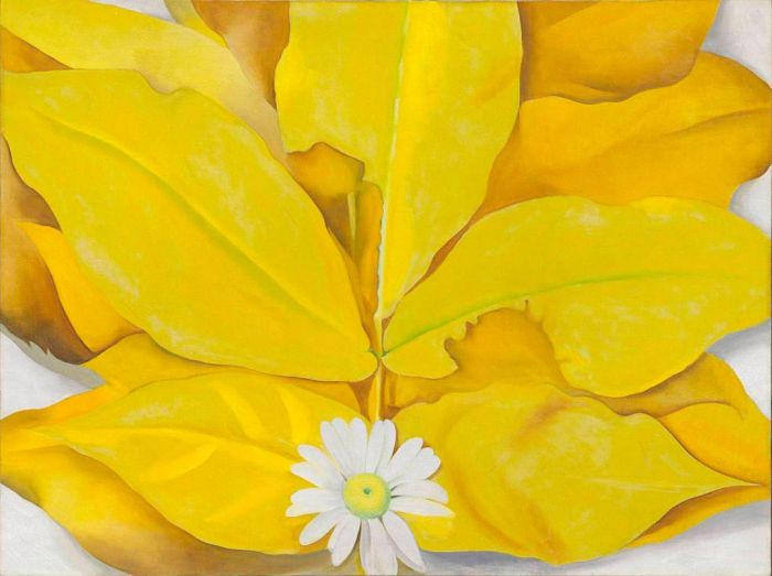 Yellow Hickory Leaves with Daisy