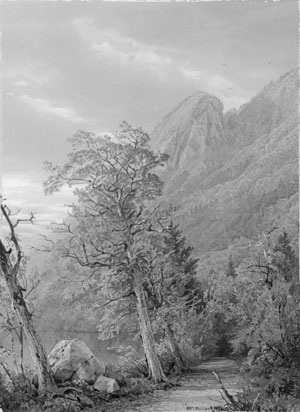 Eagle&#39;s Nest, Franconia Notch