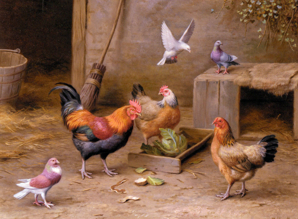 Chickens In A Farmyard