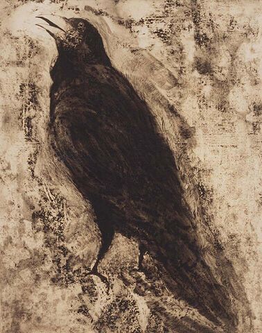 Crow No. 2