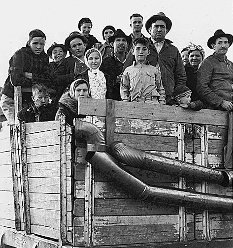 Truckload Of Cotton Pickers