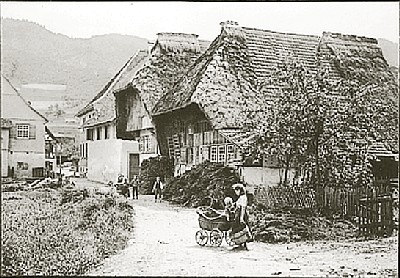 A Street In The Black Forest